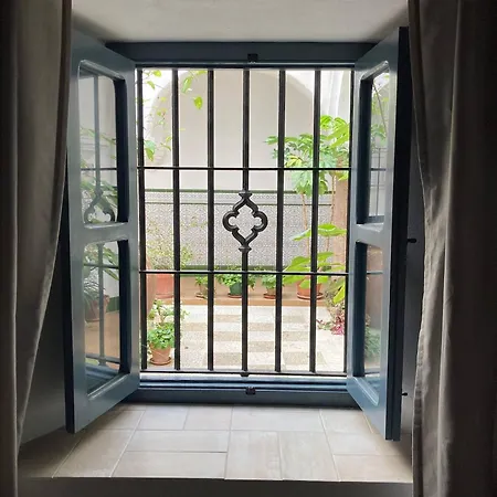Charming 1900 Andalusian In